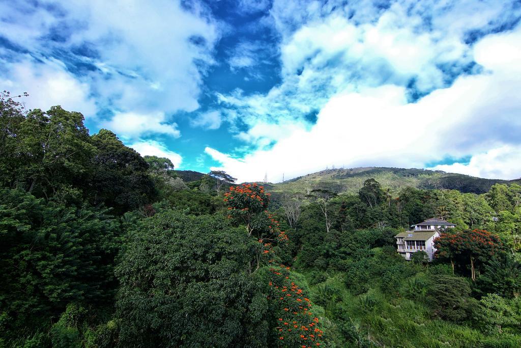 Hillcrest Villa Peradeniya Exteriör bild